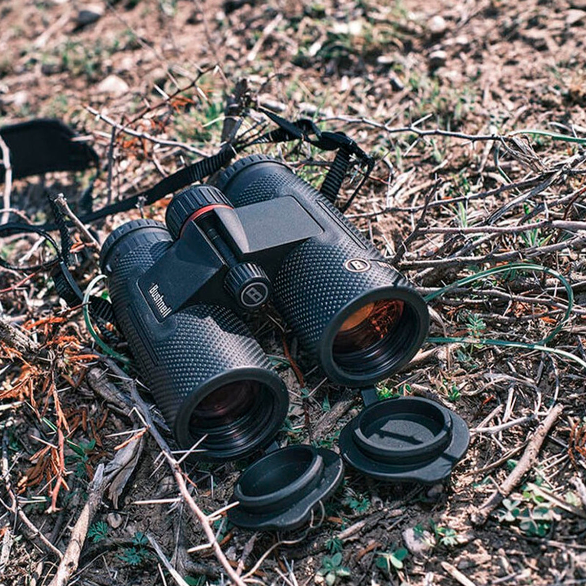 Prismático Bushnell Nitro 10x36 / 10x42