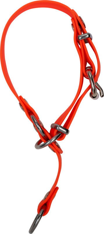 Collar BLASER Professional para perro – Naranja