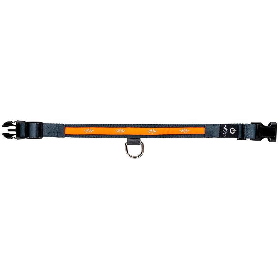 Collar LED para Perro Blaser
