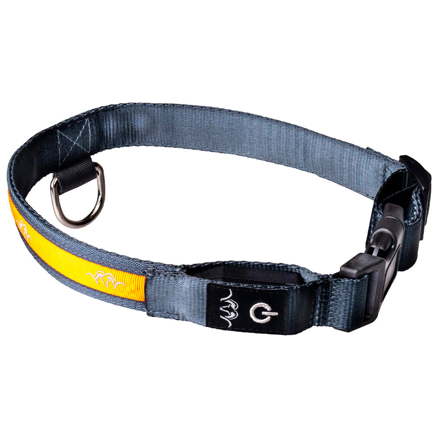 Collar LED para Perro Blaser