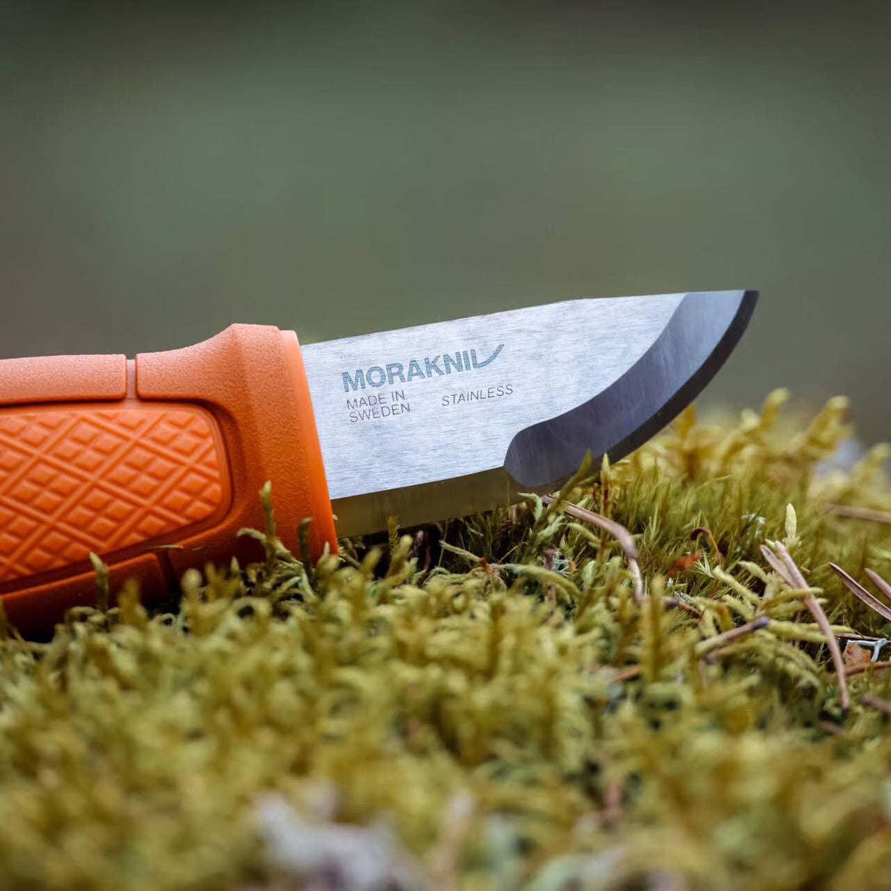 Cuchillo compacto Morakniv Eldris con bucle para cinturón (S) en acero inoxidable 12C27