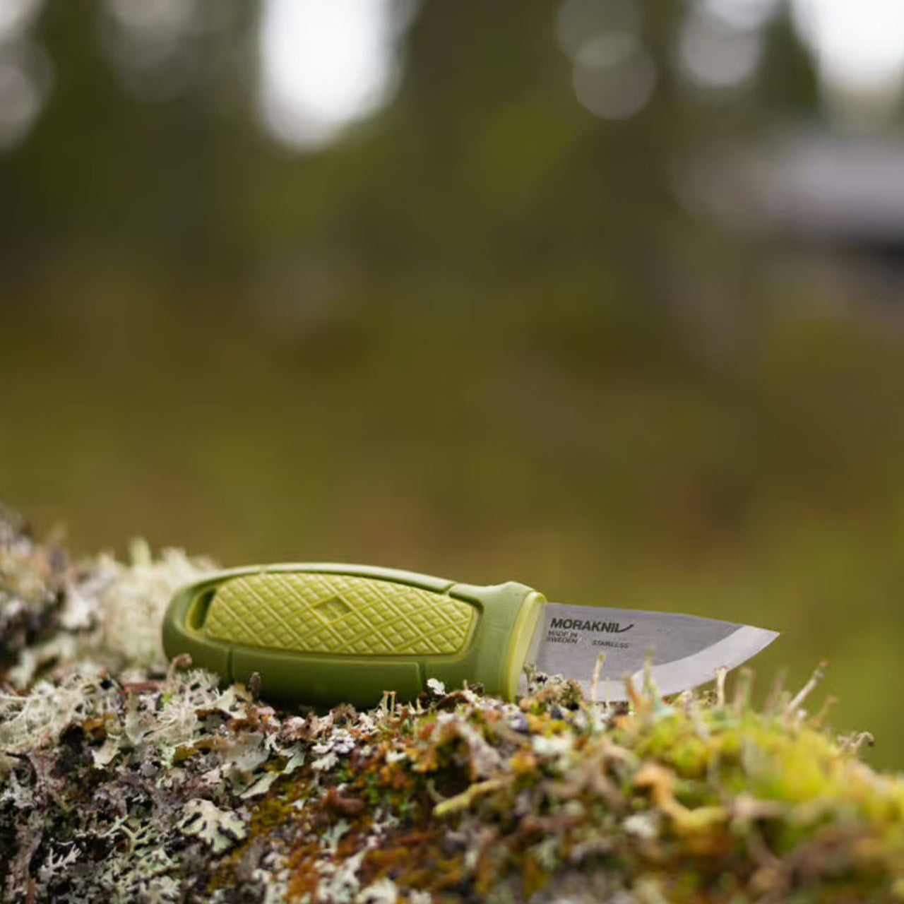 Cuchillo compacto Morakniv Eldris con bucle para cinturón (S) en acero inoxidable 12C27