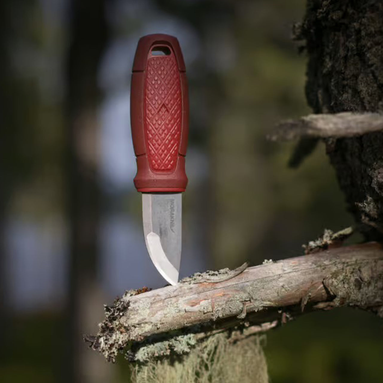 Cuchillo compacto Morakniv Eldris con bucle para cinturón (S) en acero inoxidable 12C27