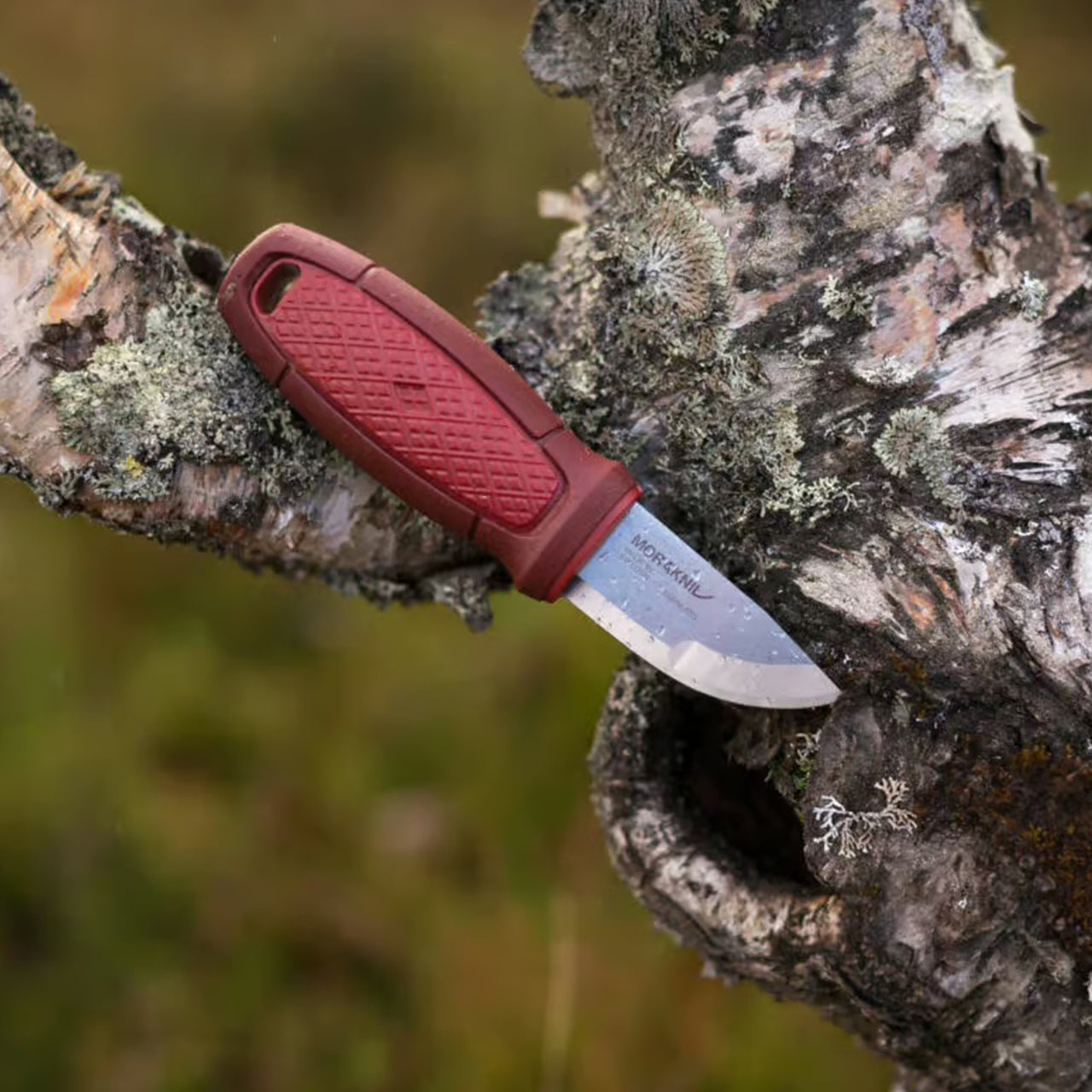 Cuchillo compacto Morakniv Eldris con bucle para cinturón (S) en acero inoxidable 12C27