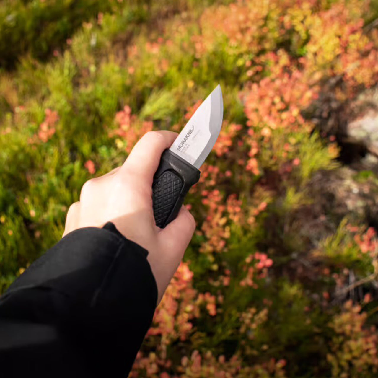 Cuchillo compacto Morakniv Eldris con bucle para cinturón (S) en acero inoxidable 12C27
