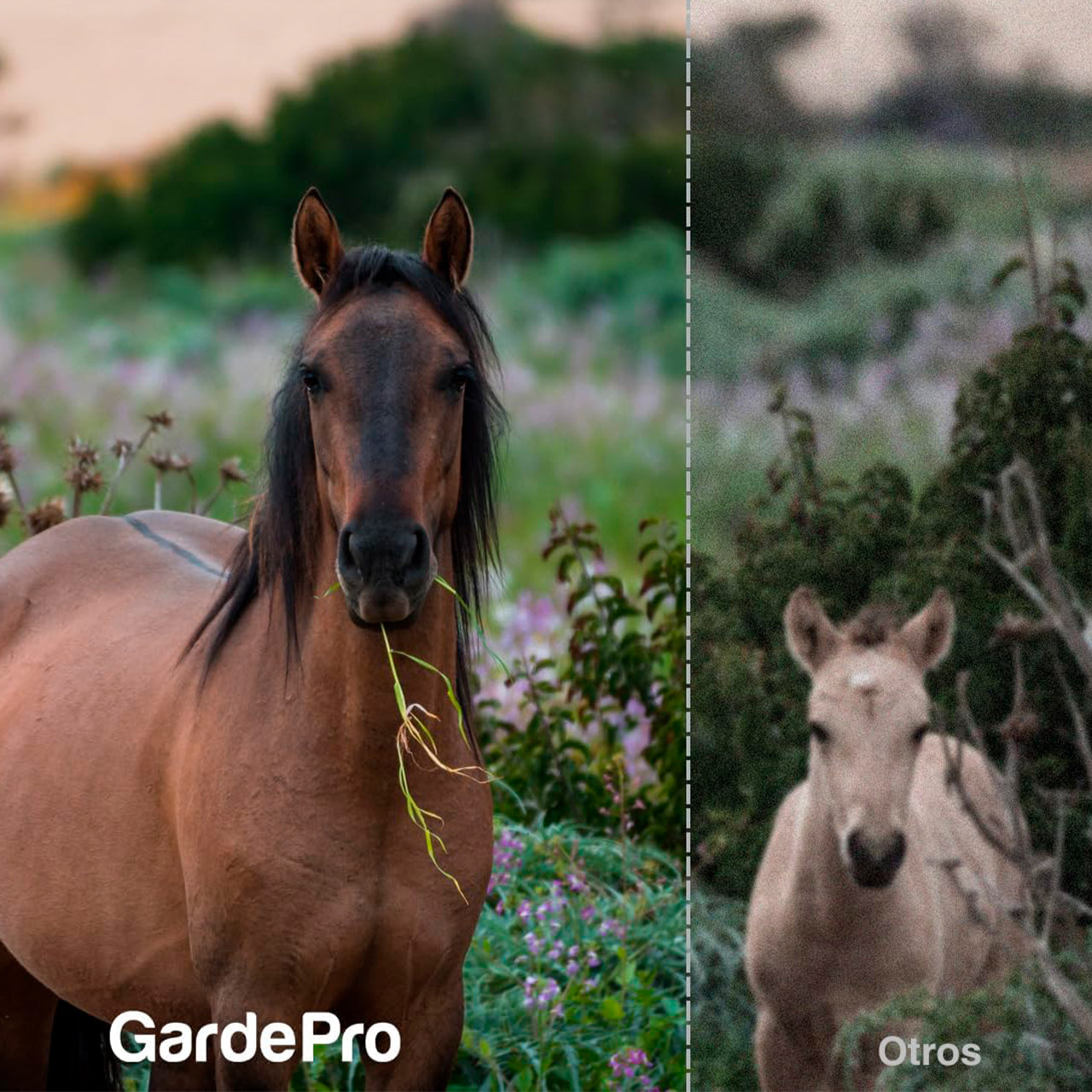 Cámara Fototrampeo GardePro E5