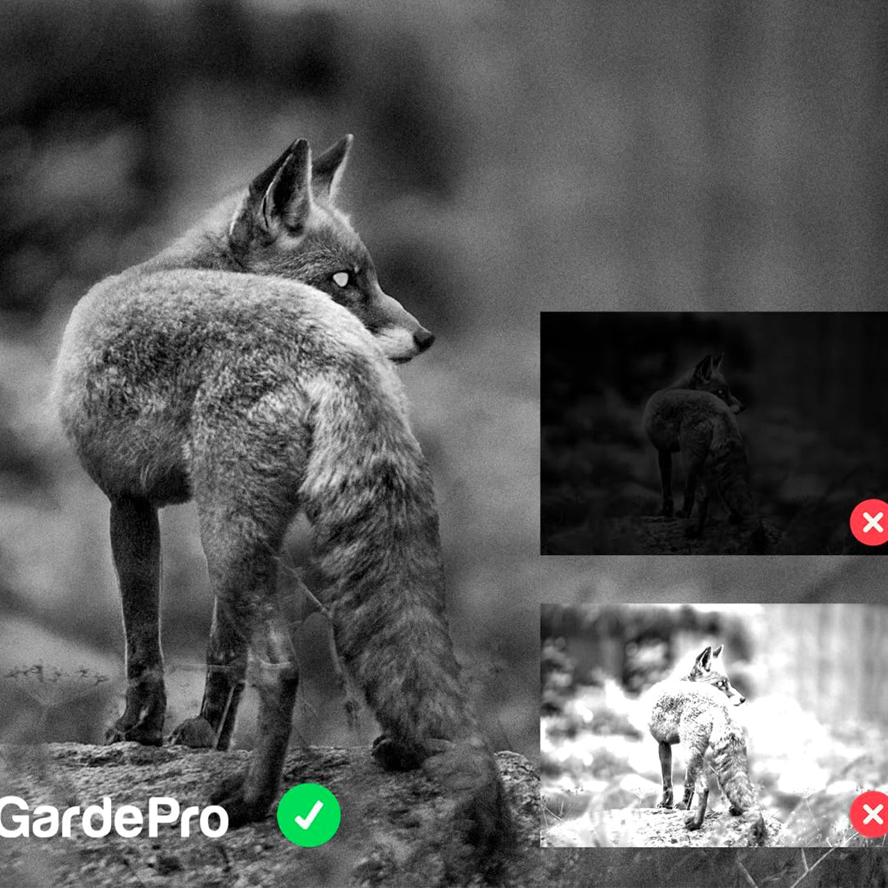 Cámara Fototrampeo GardePro E5