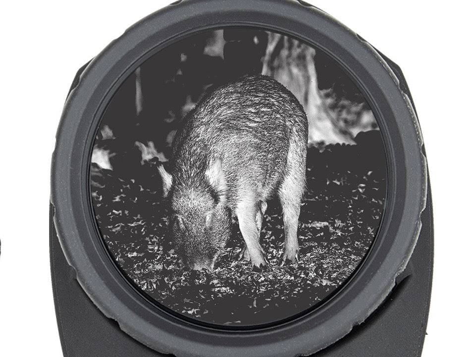 Monocular térmico Steiner NightHunter Lite