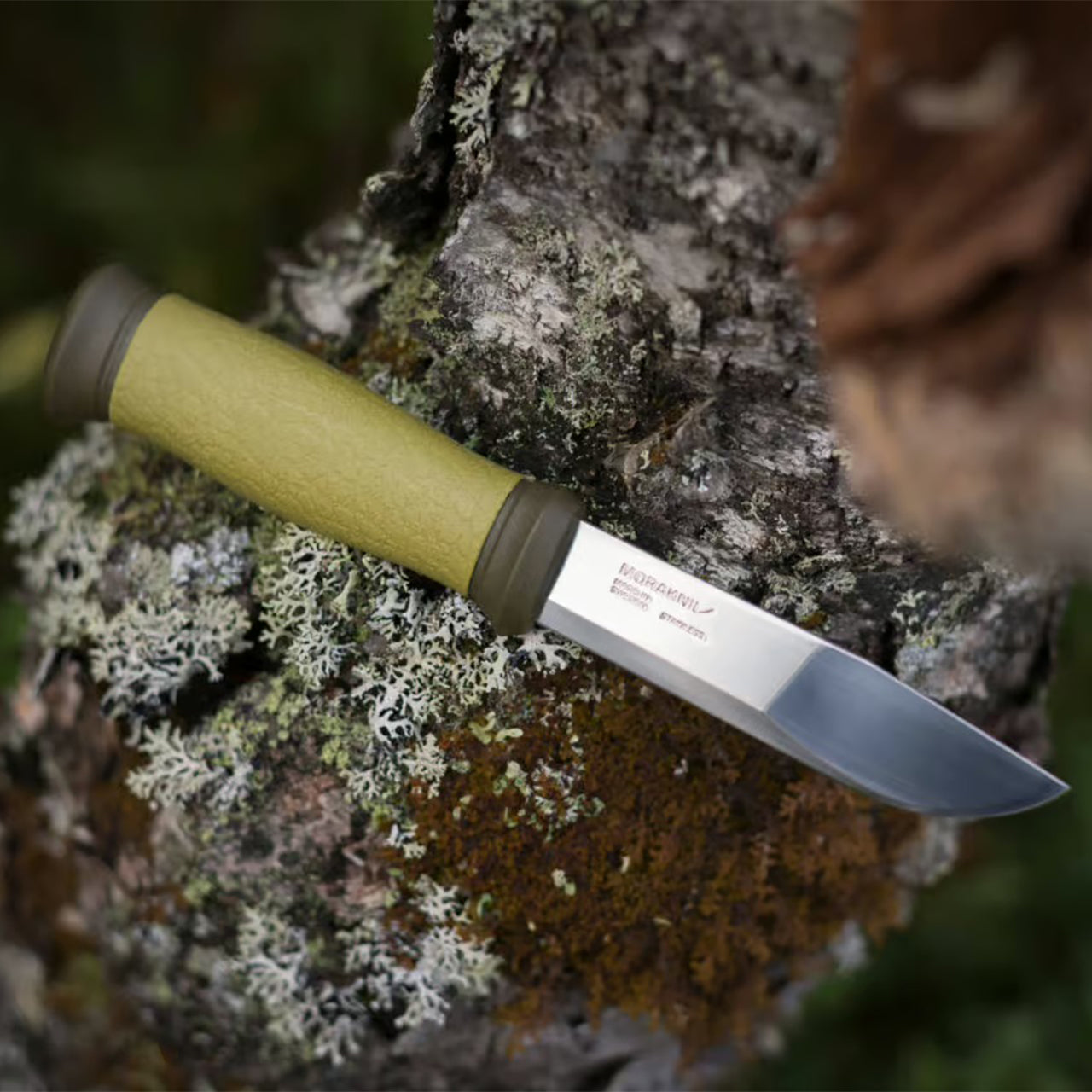 Cuchillo Morakniv Mora 2000 (S) en acero inoxidable