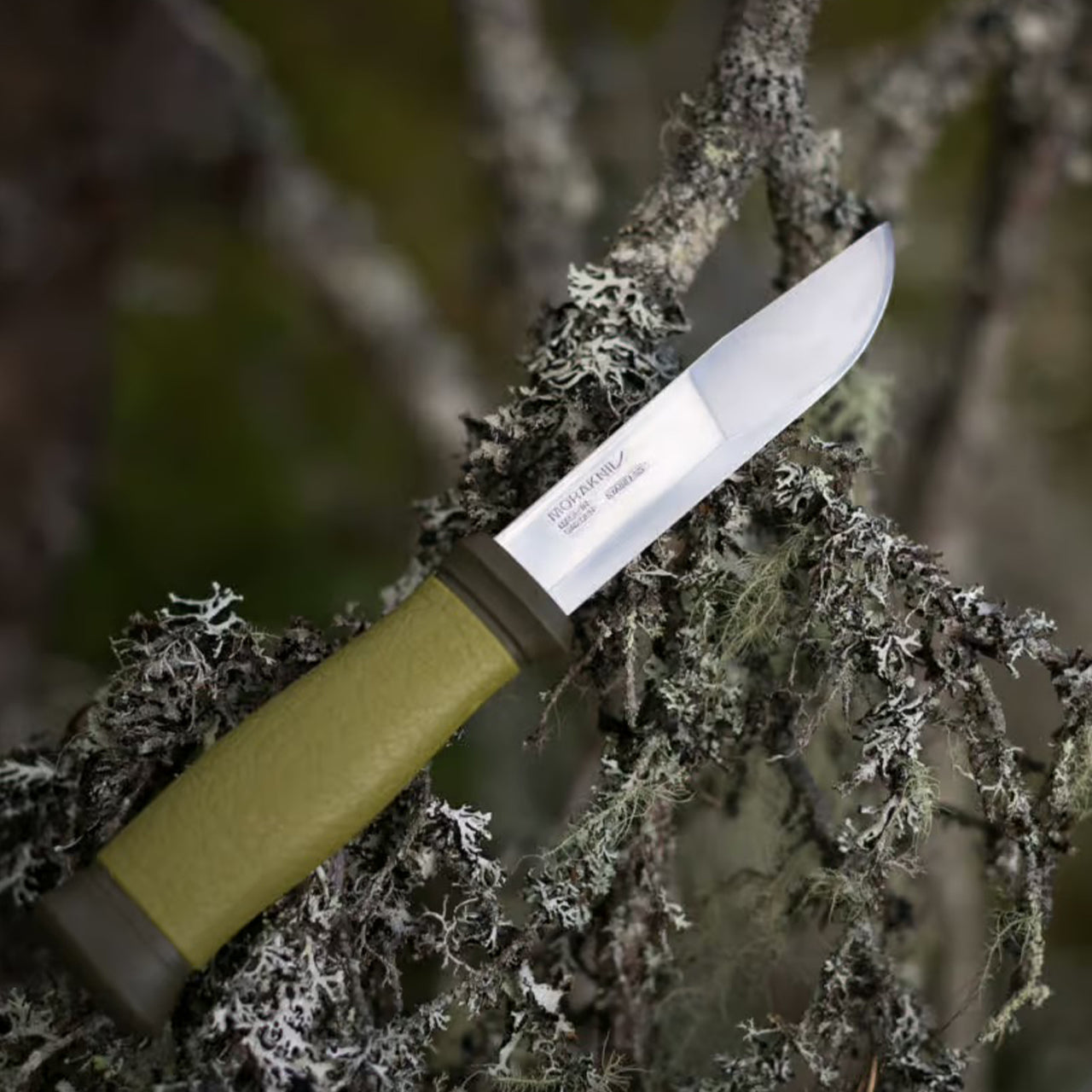Cuchillo Morakniv Mora 2000 (S) en acero inoxidable
