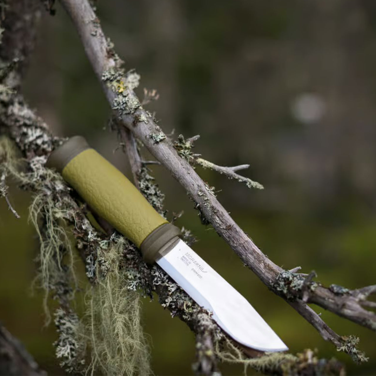 Cuchillo Morakniv Mora 2000 (S) en acero inoxidable