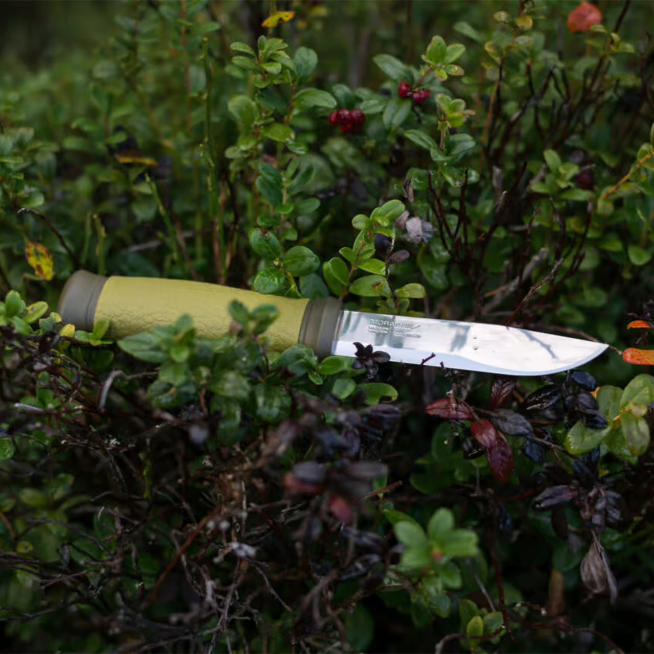 Cuchillo Morakniv Mora 2000 (S) en acero inoxidable