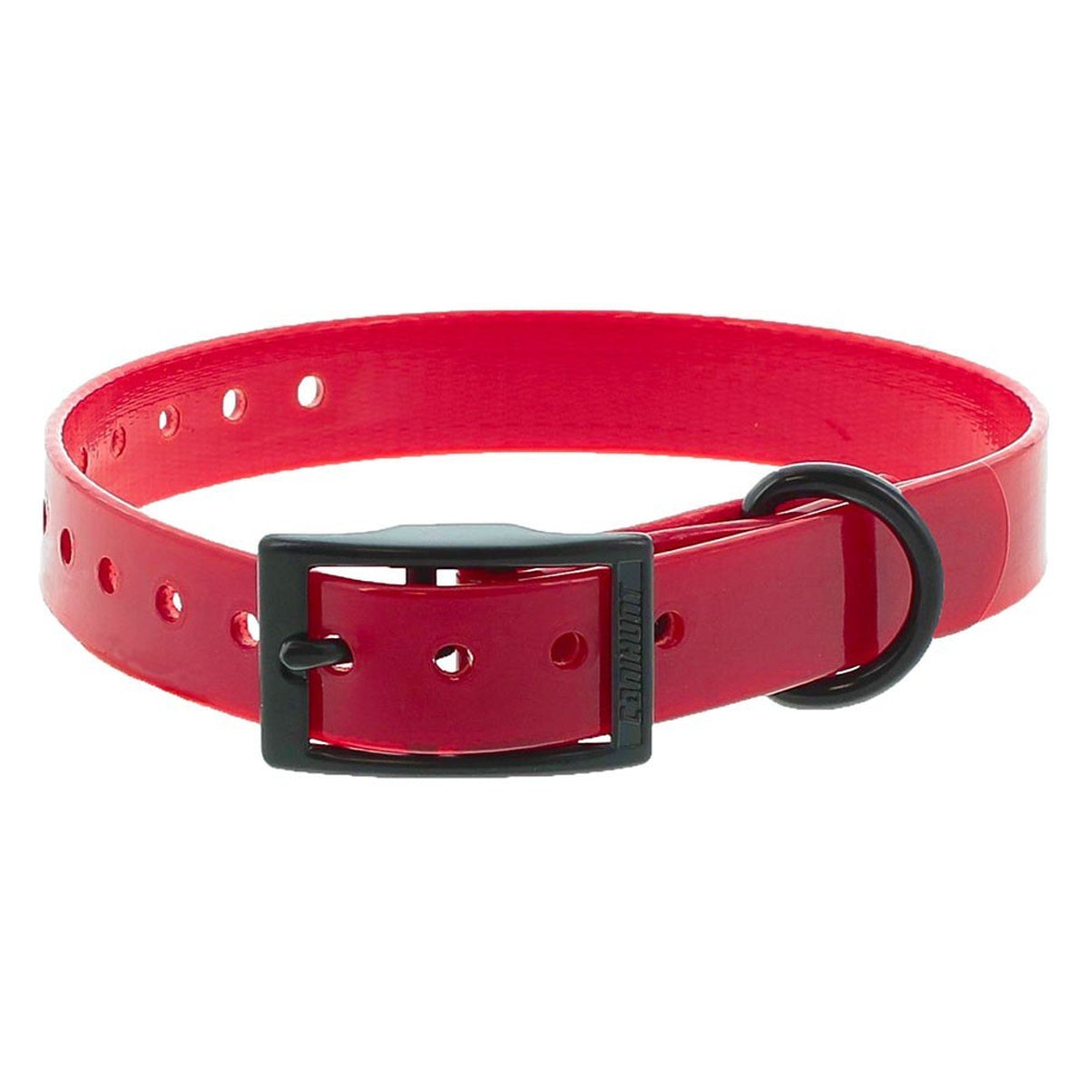 Collar EXTREME - 19mm Canihunt · vista 1