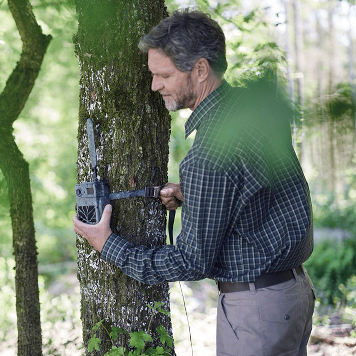 Banda para árbol ZEISS para Secacam