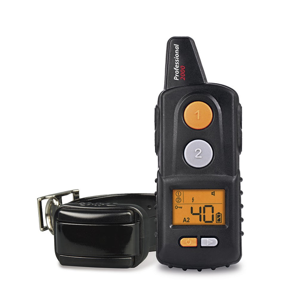 Radio collar educativo DogTrace Professional 2000 Mini+ color negro/naranja