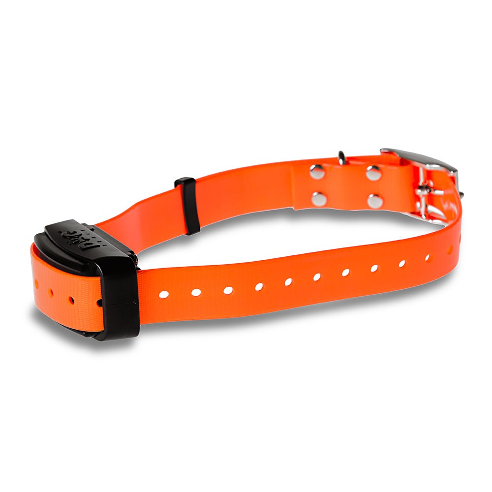 Radio collar educativo DogTrace Professional 2000 color negro/naranja