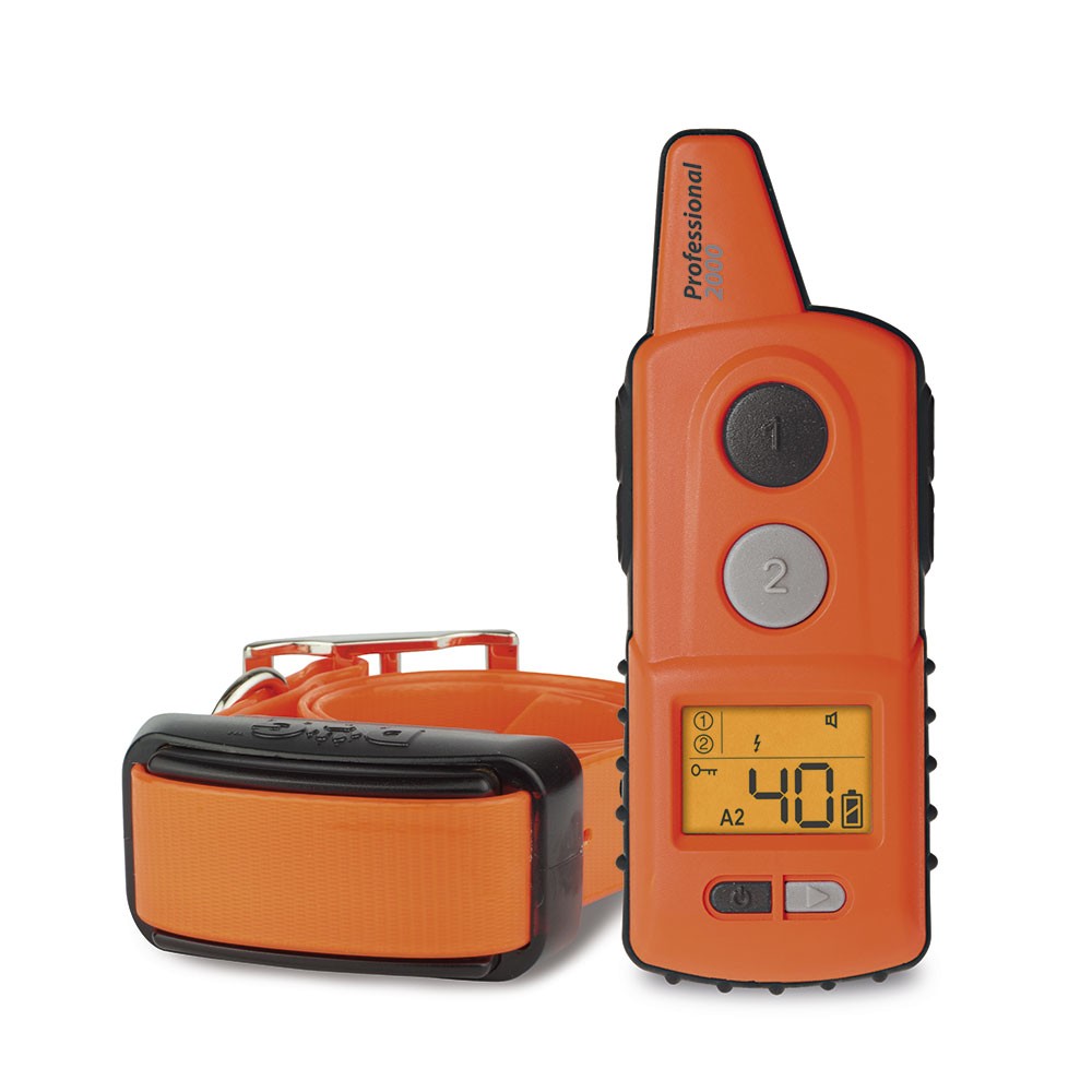 Radio collar educativo DogTrace Professional 2000 color negro/naranja