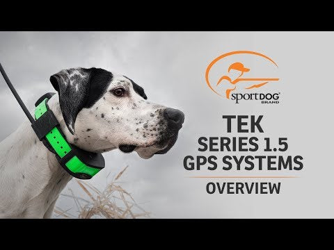 Collar de perro con GPS + Adiestramiento TEK 1.5 SportDOG
