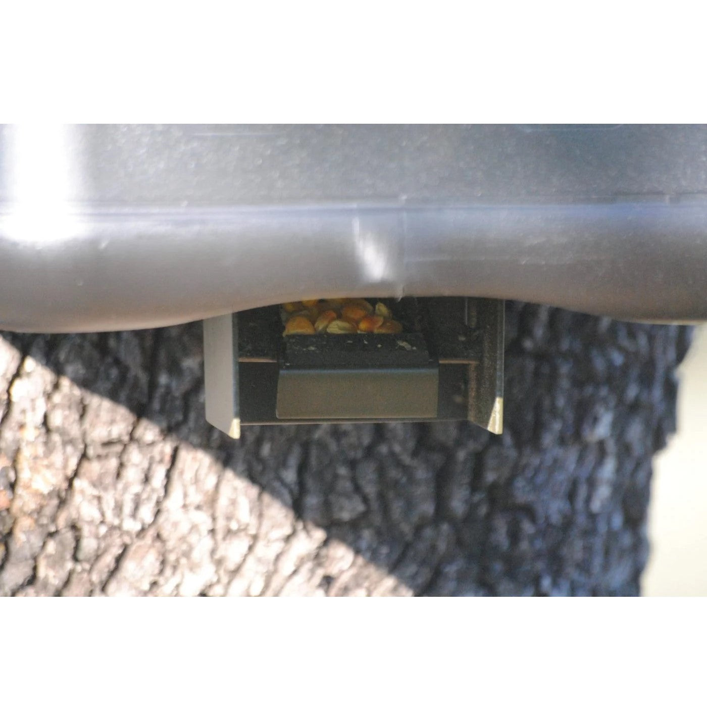 Dispensador automático trampilla para comedero BSF Yimi
