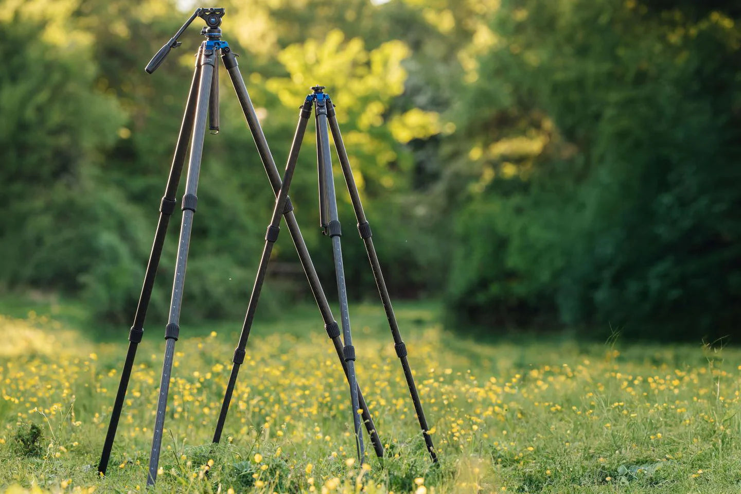 Trípode de carbono ZEISS Pro-Series Universal Kit