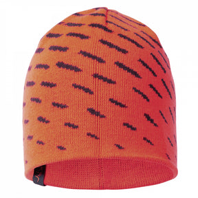 Gorro reversible Blaser