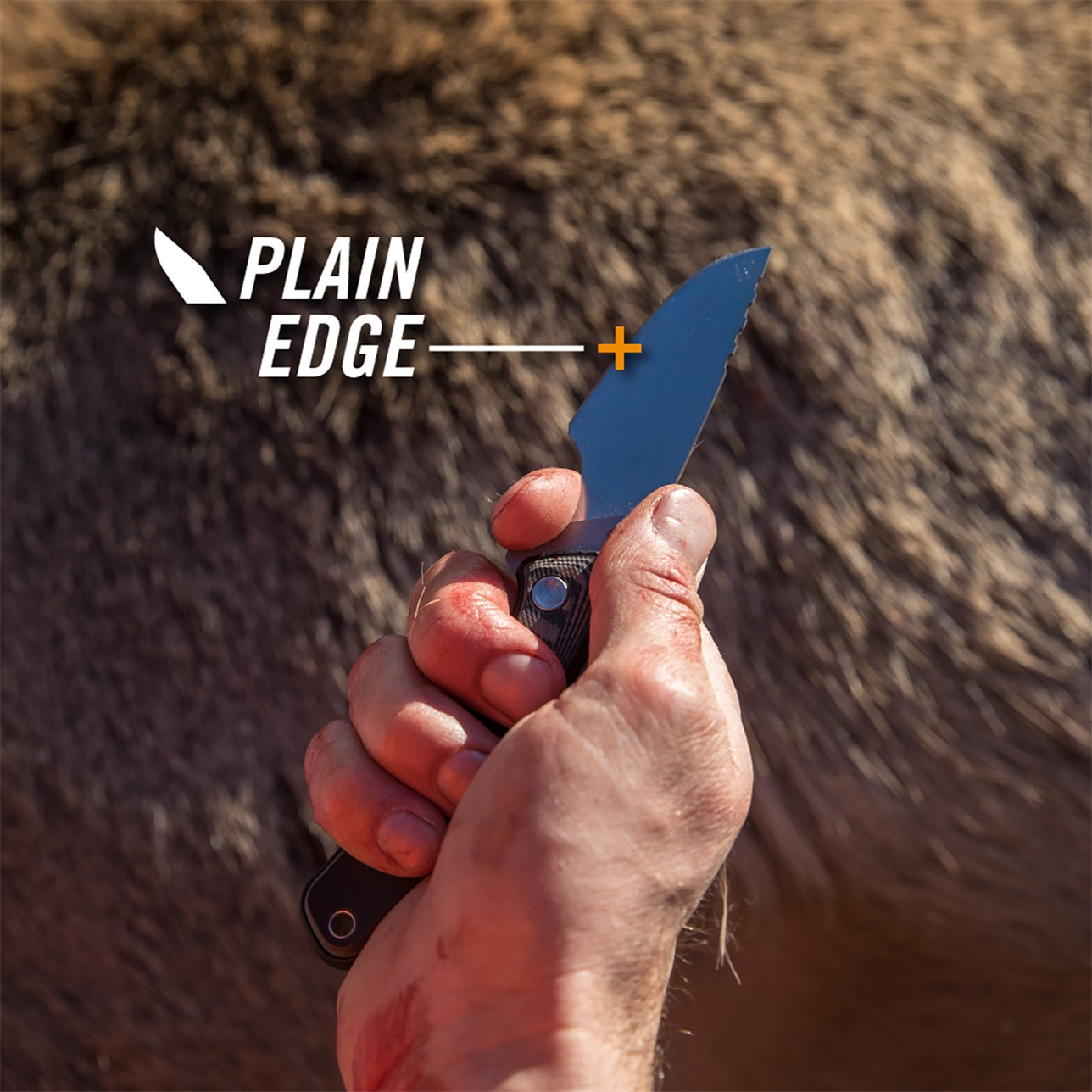 Cuchillo de caza Downwind Caper negro GERBER
