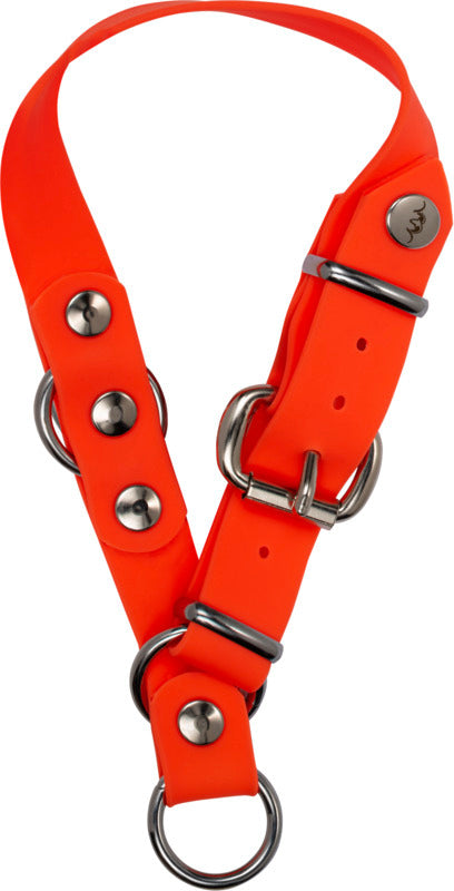 Collar BLASER Professional para perro – Naranja