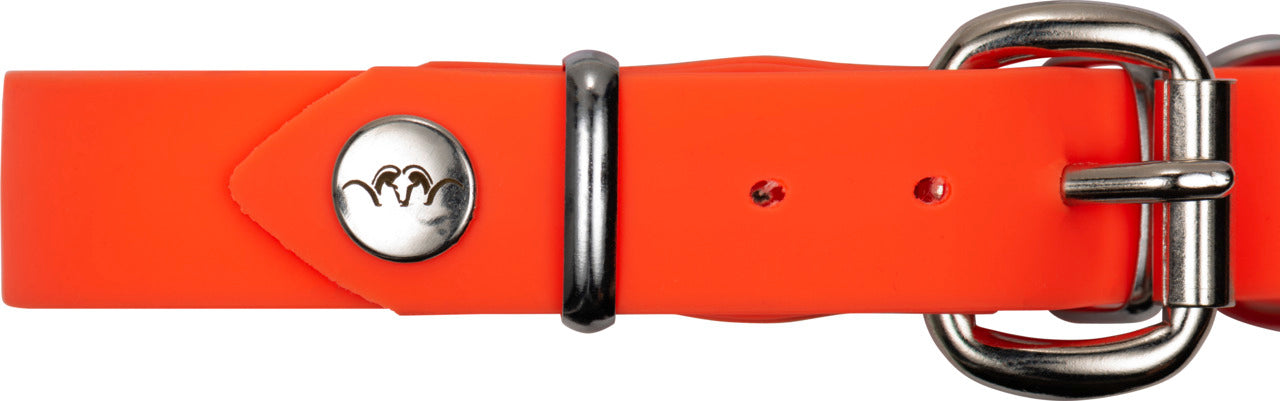 Collar BLASER Professional para perro – Naranja