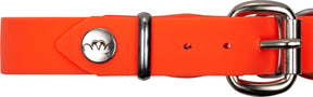 Collar BLASER Professional para perro – Naranja
