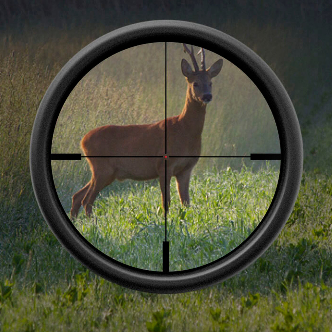 Visores compactos BLASER B1 iC - Infinity