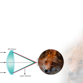 Prismáticos con telémetro láser PARD Ranger ED 3000 10x42