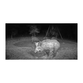 Cámara Trampeo GardePro X50MB