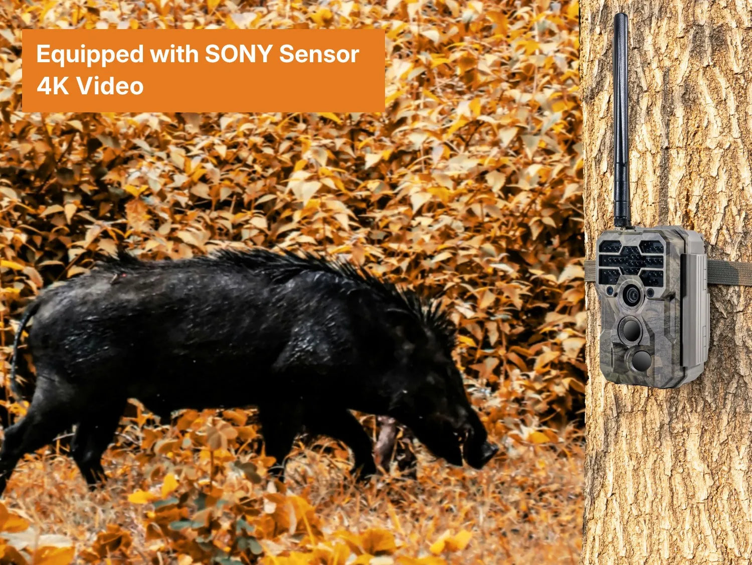 Cámara Fototrampeo Gardepro X80GL 4K con GPS