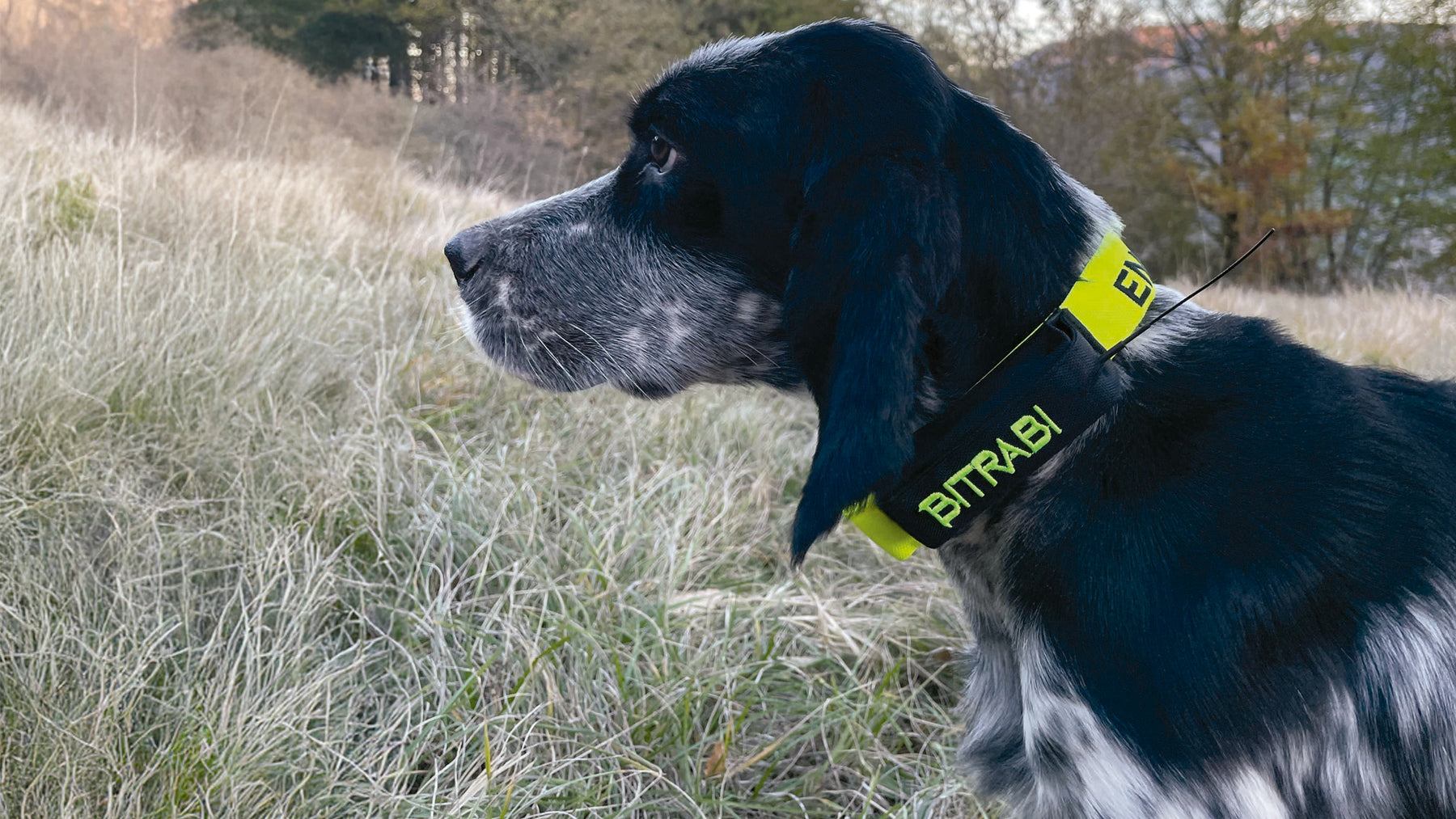 Localizador BITRABI Hybrid ENCI BTB6000 radio/GPS