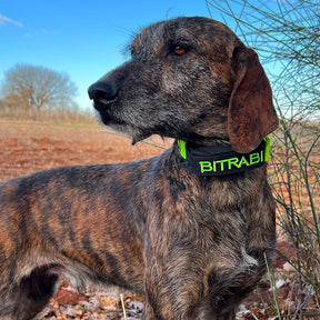 Localizador BITRABI Hybrid ENCI BTB6000 radio/GPS