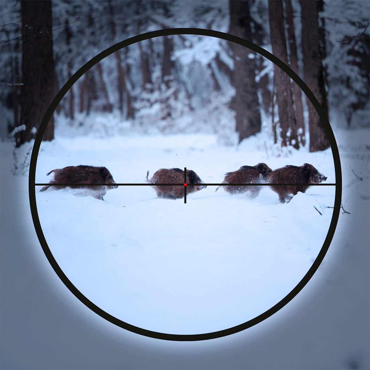 Visor Minox RS-4 3-12x56