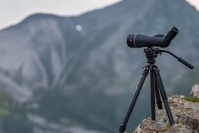 Kit Leica Catalejo APO-Televid 82 angular + ocular zoom 25-50x WW ASPH.
