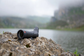 Kit Leica Catalejo Televid HD 65 + Ocular zoom 20-60x
