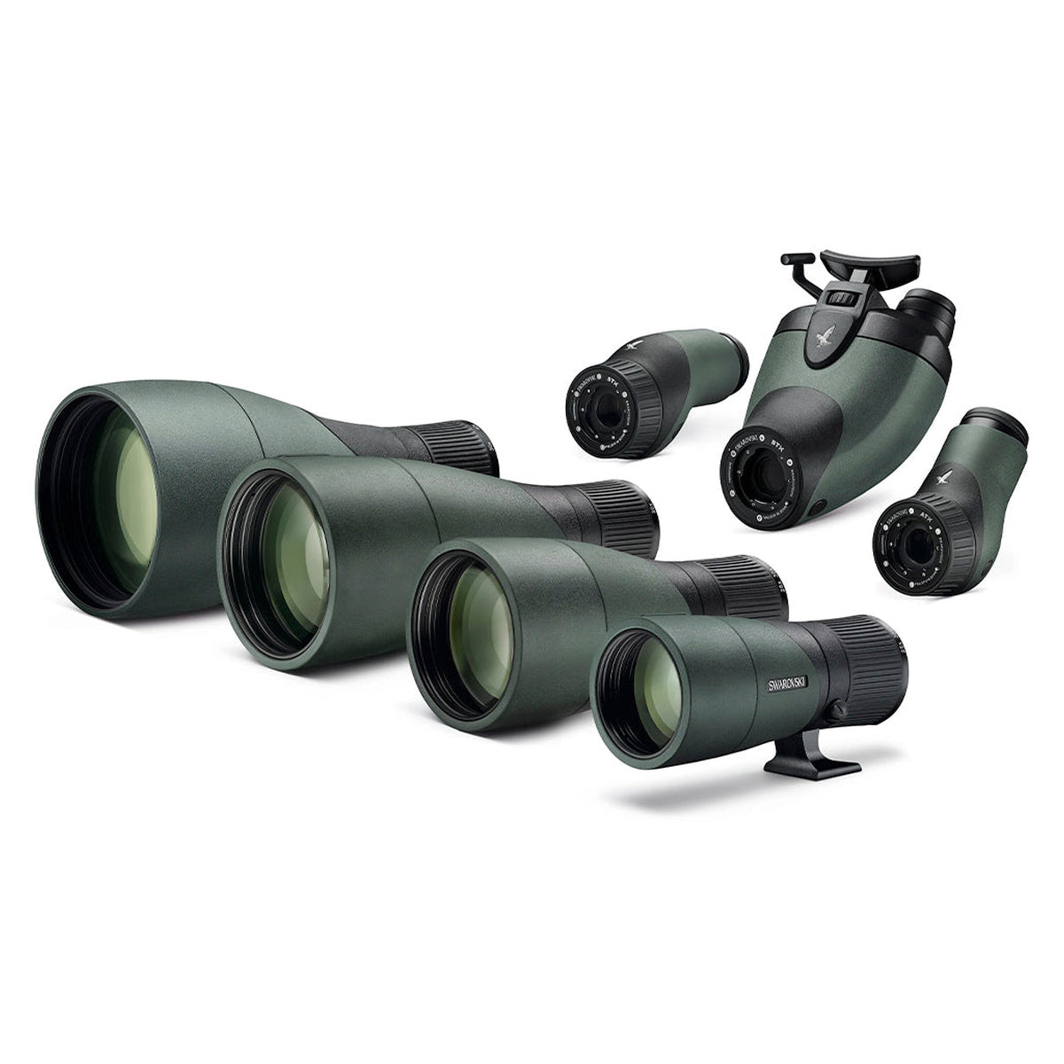 Módulo para objetivo Swarovski Optik ATX/ STX/ BTX