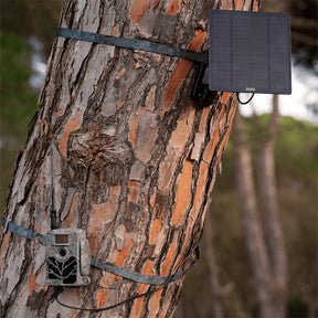 Panel Solar Para ZEISS Secacam