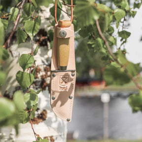 Cuchillo Morakniv Scout 39 (S) en acero inoxidable