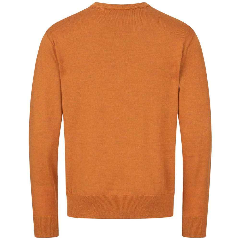 Suéter de lana merino BLASER cuello en V