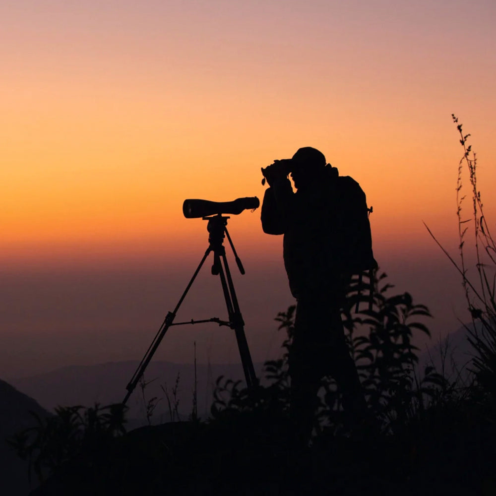 Telescopio modular Swarovski Optik STX