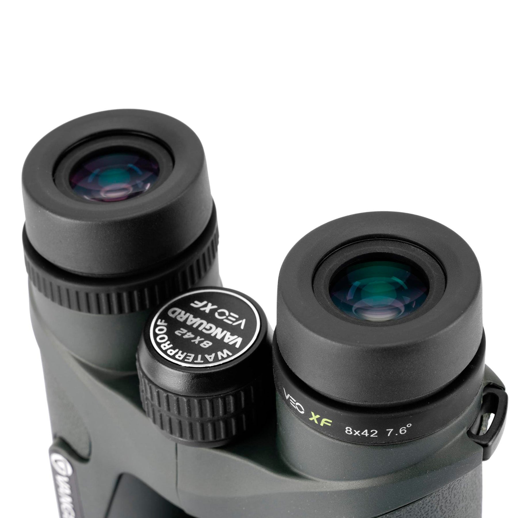 Oculares en diferentes fases Veo XF 8420