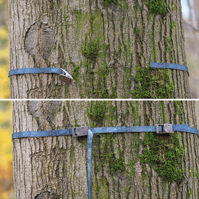 Banda para árbol ZEISS para Secacam
