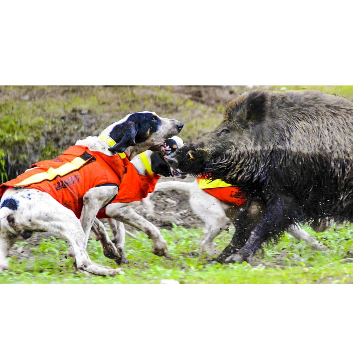 Chaleco Browning Protect Pro Evo de proteccion antijabalíes para perros