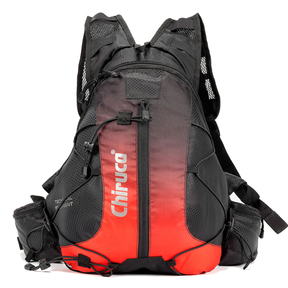 Mochila CHIRUCA 11 L 29 — vista principal