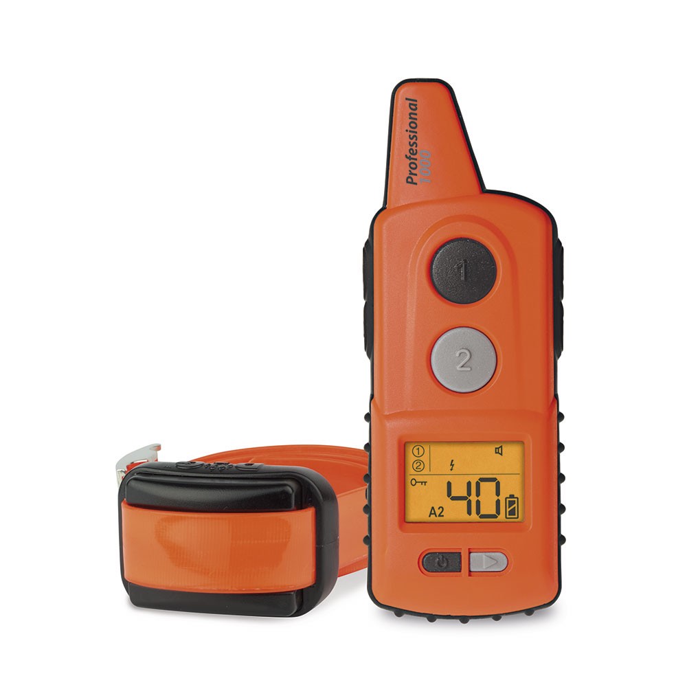 Radio collar educativo DogTrace Professional 2000 Mini+ color negro/naranja