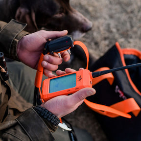 Equipo localizador Dogtrace GPS X30-T color naranja