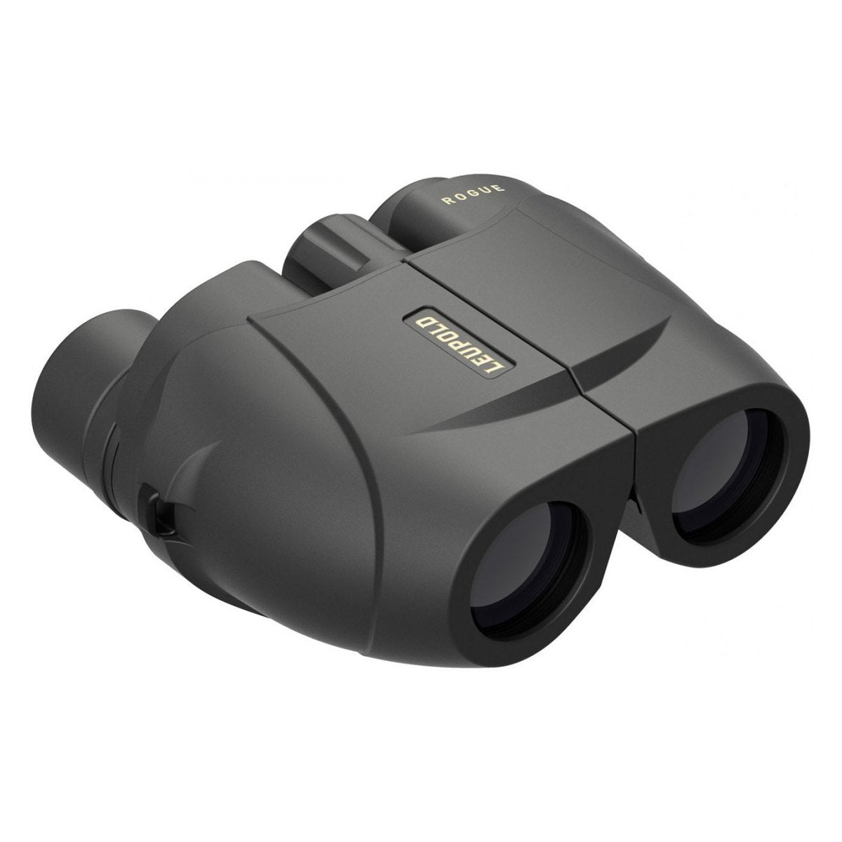 Prismático LEUPOLD BX-1 Rogue Compact vista